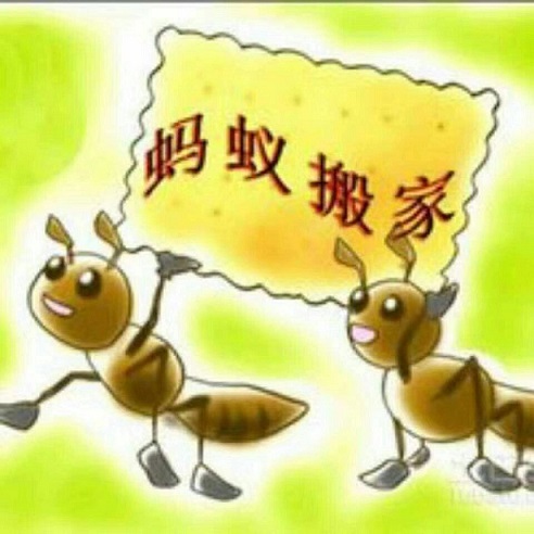 青岛正规蚂蚁搬家